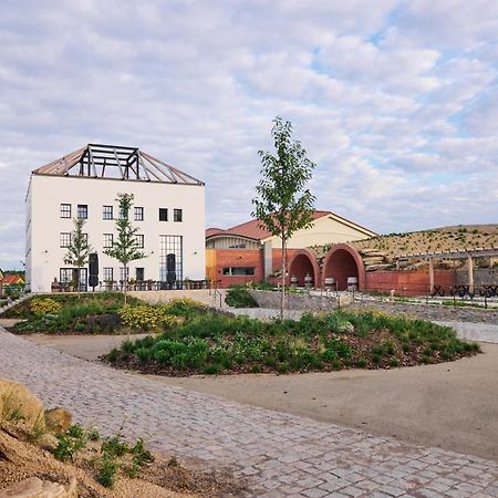 Thaya Vinarstvi Hotel Havraniky Exterior photo