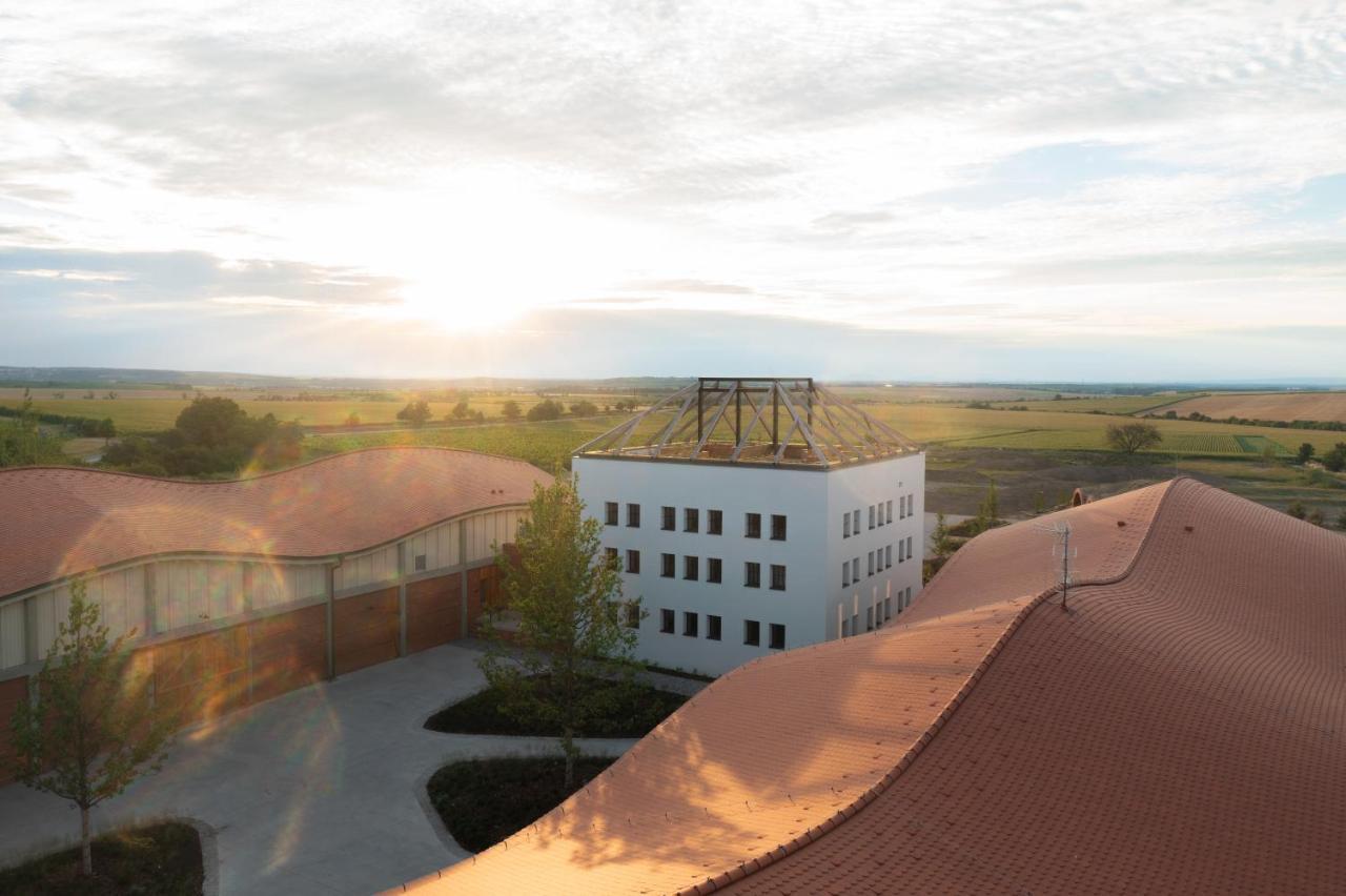 Thaya Vinarstvi Hotel Havraniky Exterior photo